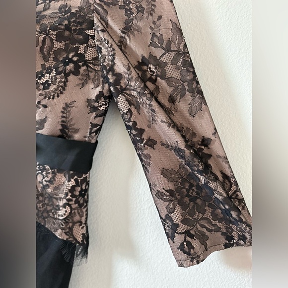 JS Collection Women's V Neck Lace Peplum Gown - Picture 3 of 6